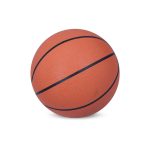 Basket Ball 5-02